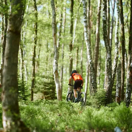 Bed and Breakfast A Vi Molin 3*