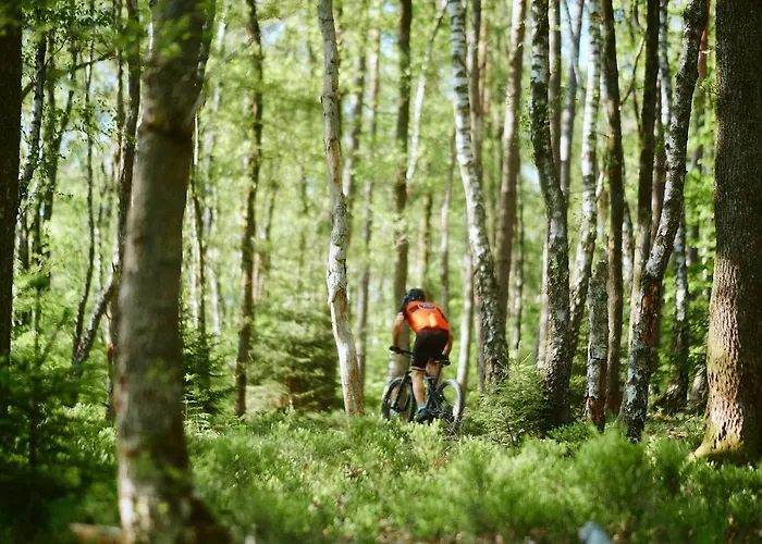 Bed & Breakfast A Vi Molin 3*